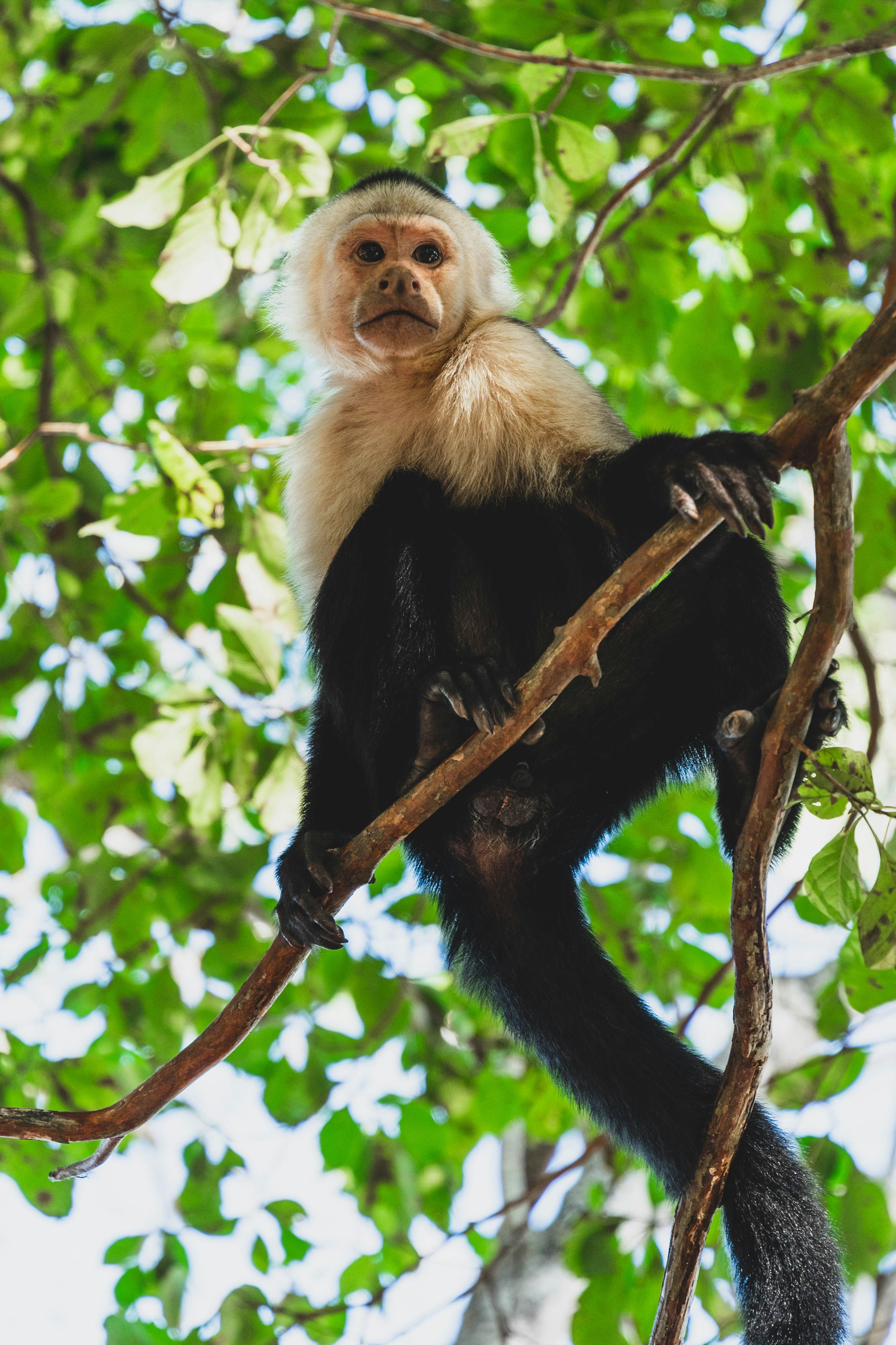 Selvara Travel Costa Rica
