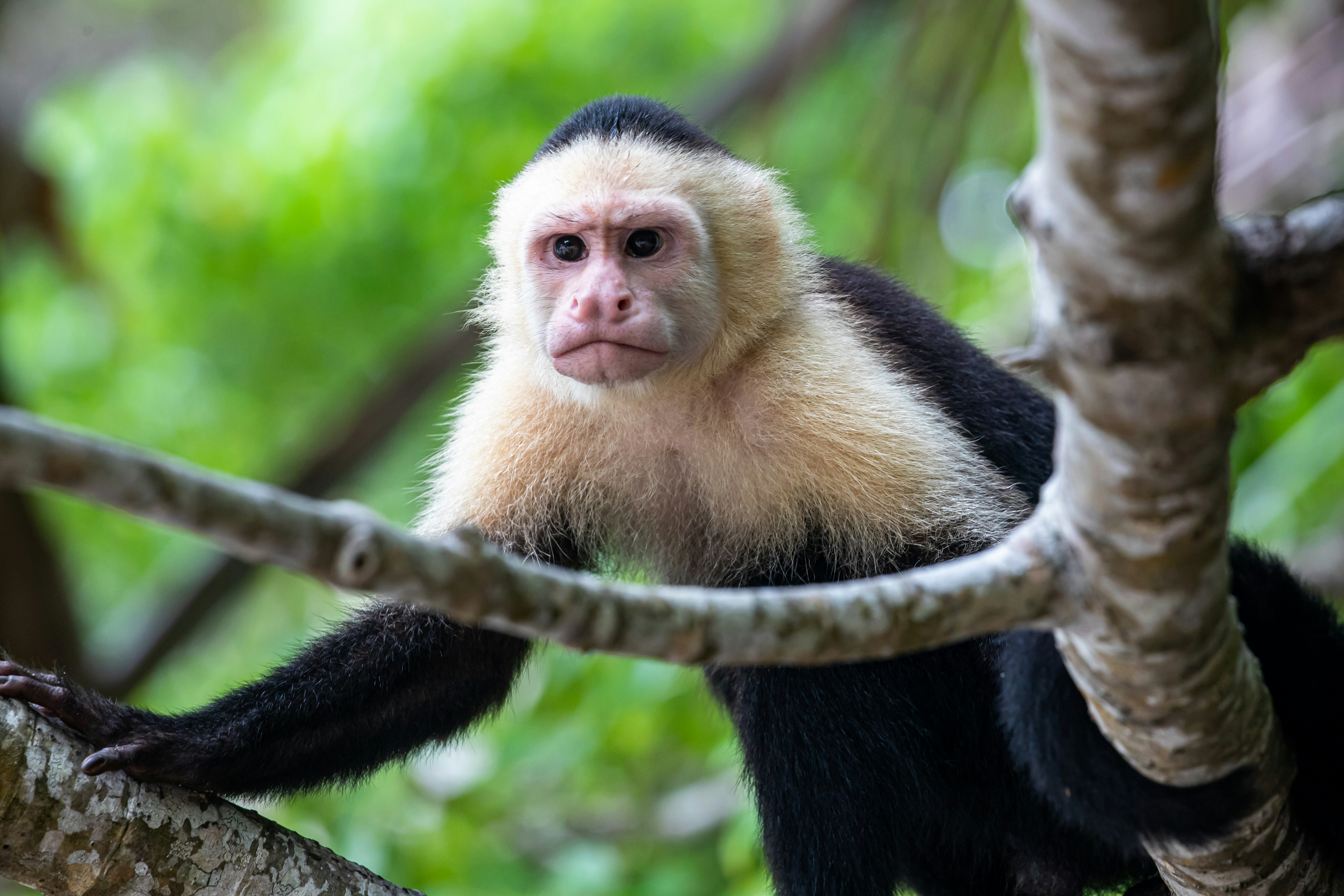 Selvara Travel Costa Rica