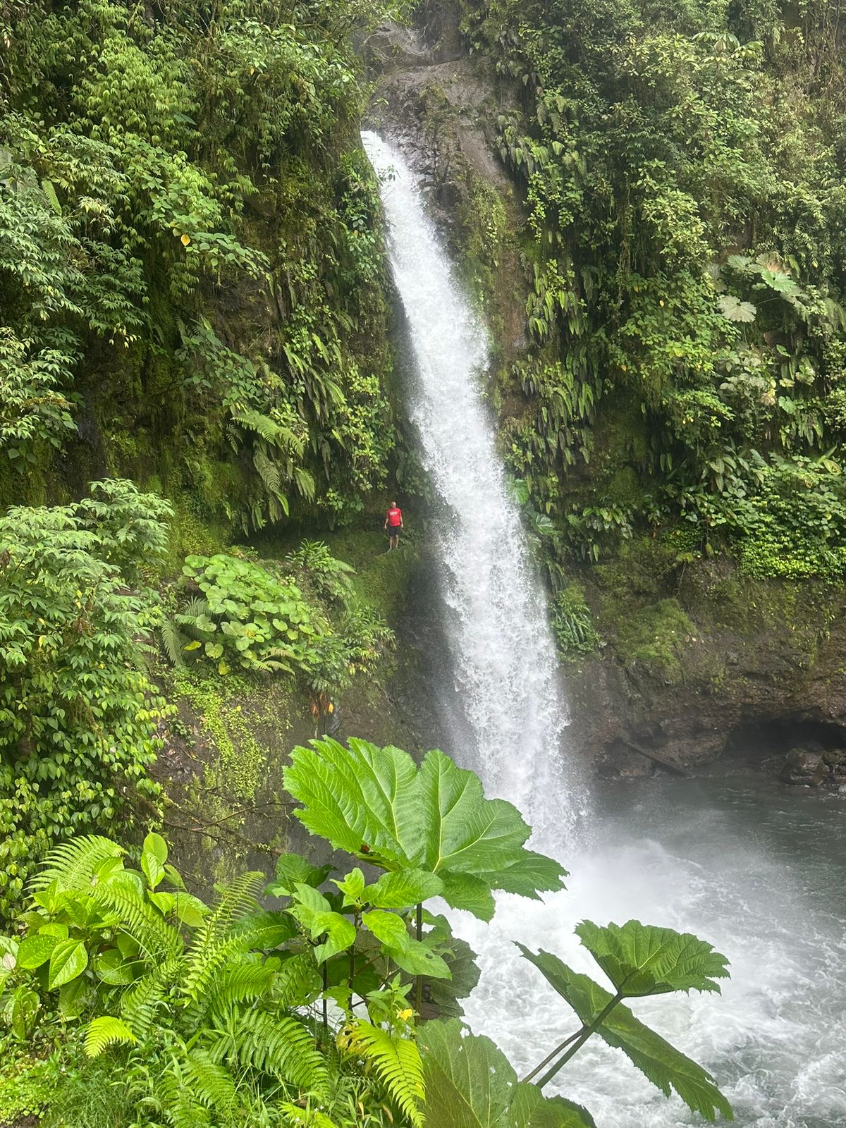 Selvara Travel Costa Rica