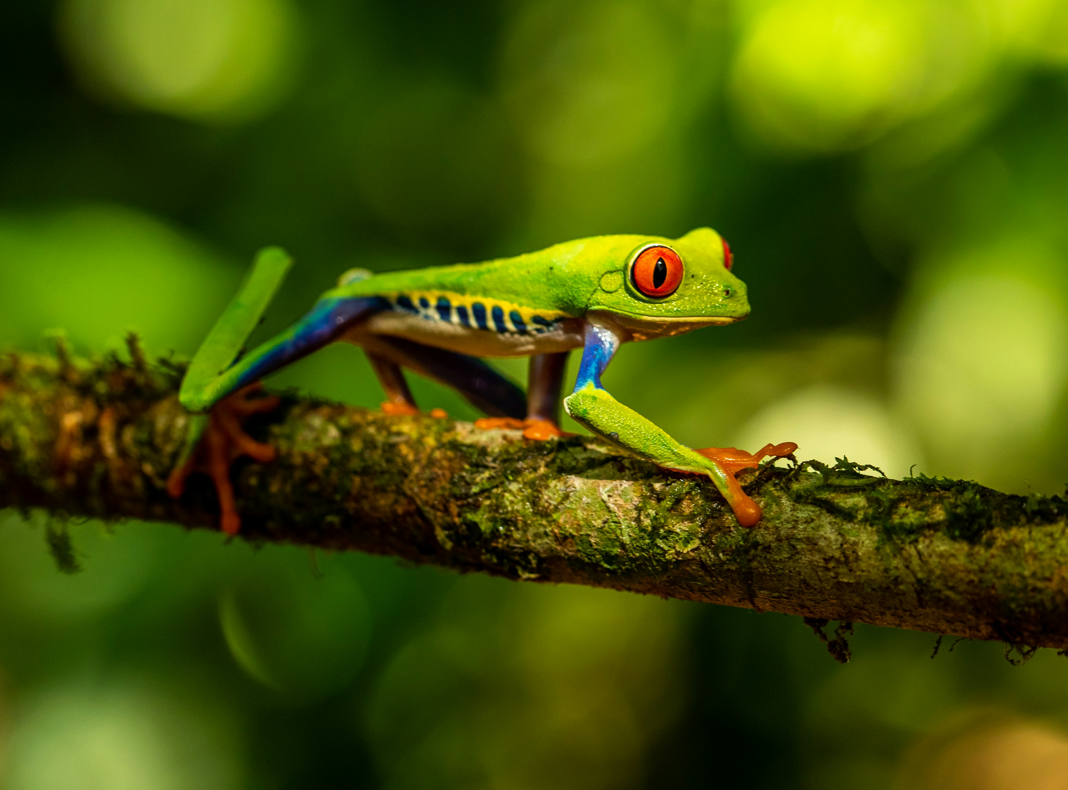 Selvara Travel Costa Rica